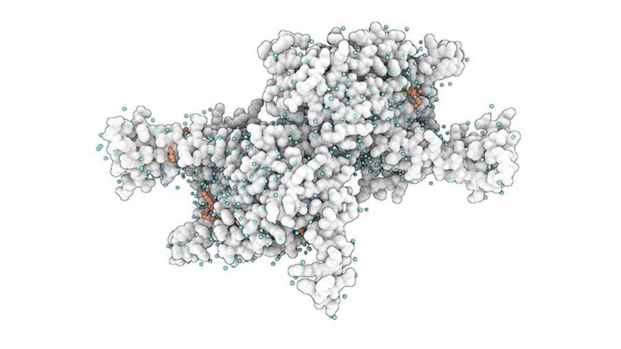 Pasqal et Qubit Pharmaceuticals reçoivent 4,5 M$ du Wellcome Trust