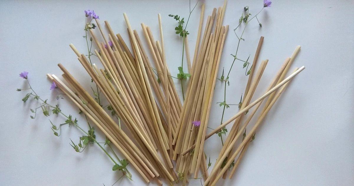 La Paille d’O transforme le seigle en pailles à boire écologiques