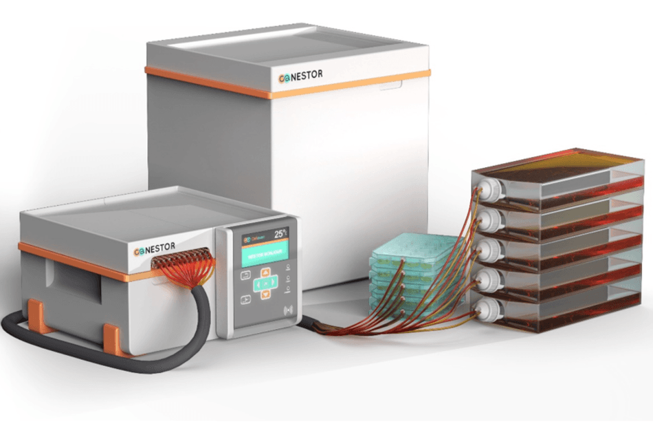 Cellaven boucle une première levée de fonds de 2,8 M€ pour automatiser la culture cellulaire in vitro