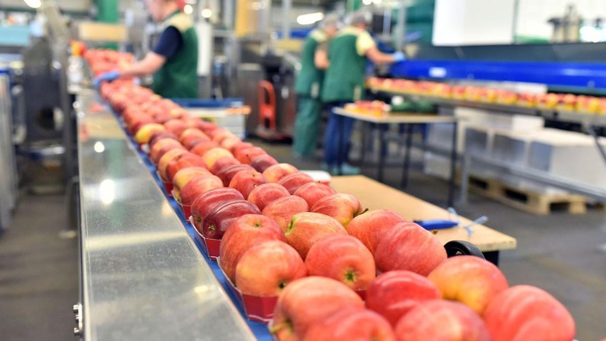 FoodPilot lève 4,5 M€ pour mesurer la RSE des entreprises agroalimentaires