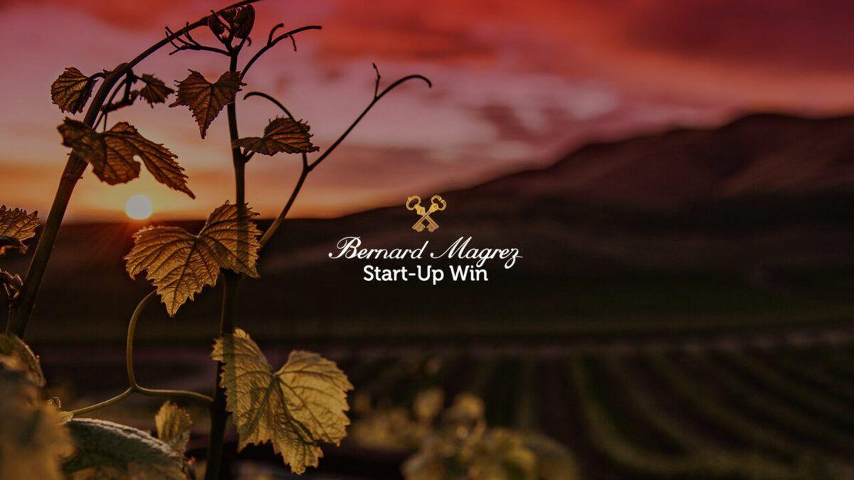 L’incubateur Win, spécialiste de la winetech, lance un nouvel appel à projets