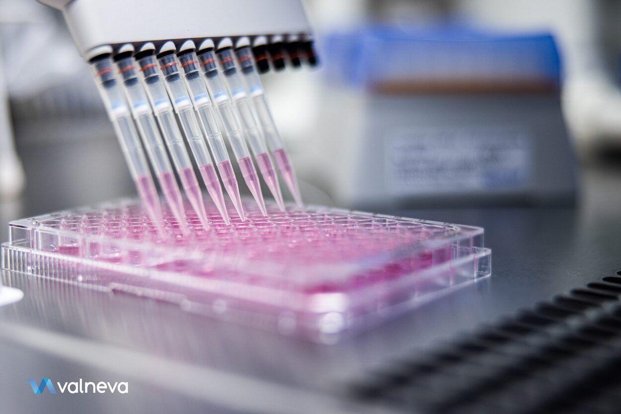 Valneva et LimmaTech : alliance pour un vaccin anti-shigellose