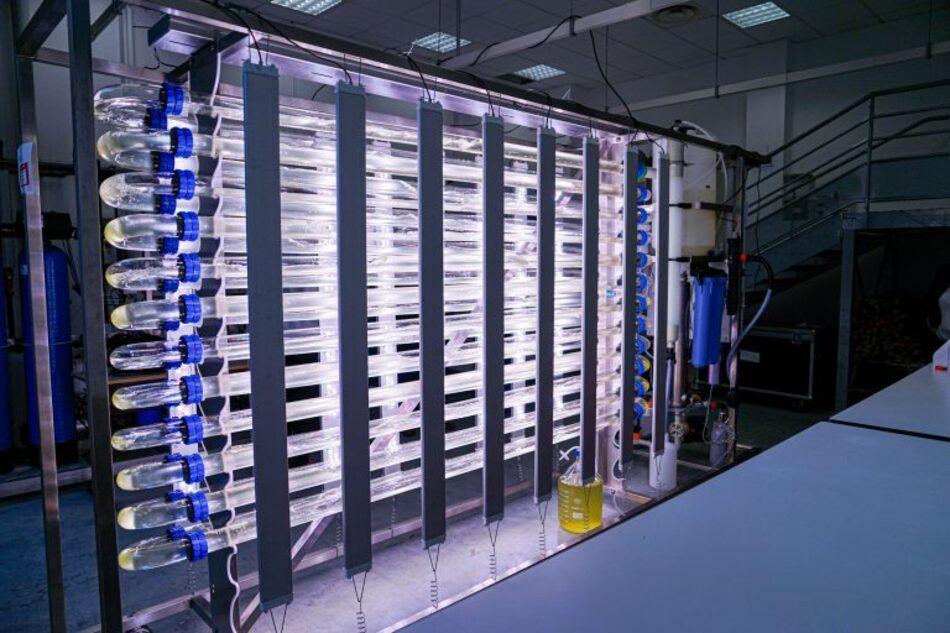 Alga Biologics va lutter contre un cancer pédiatrique rare à partir de microalgues