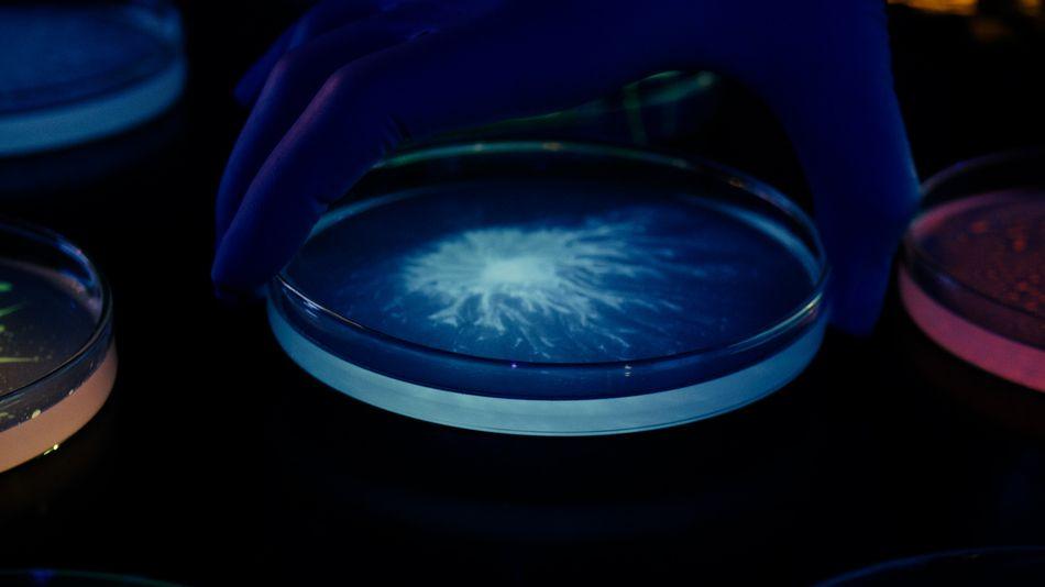 L'Oréal plonge dans le microbiome avec l'acquisition de Lactobio