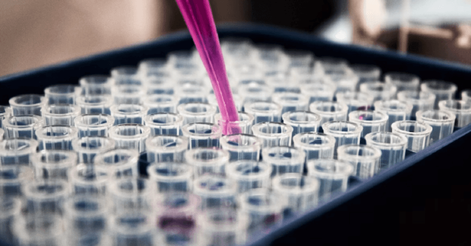 DiogenX renforce sa trajectoire avec un nouvel investisseur